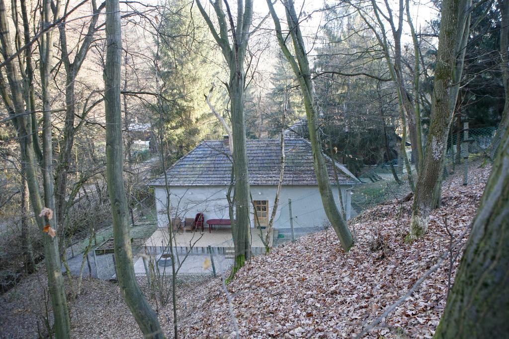 Harangvirág 36 Vendégház Kismaros Exterior foto